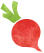 Radish icon